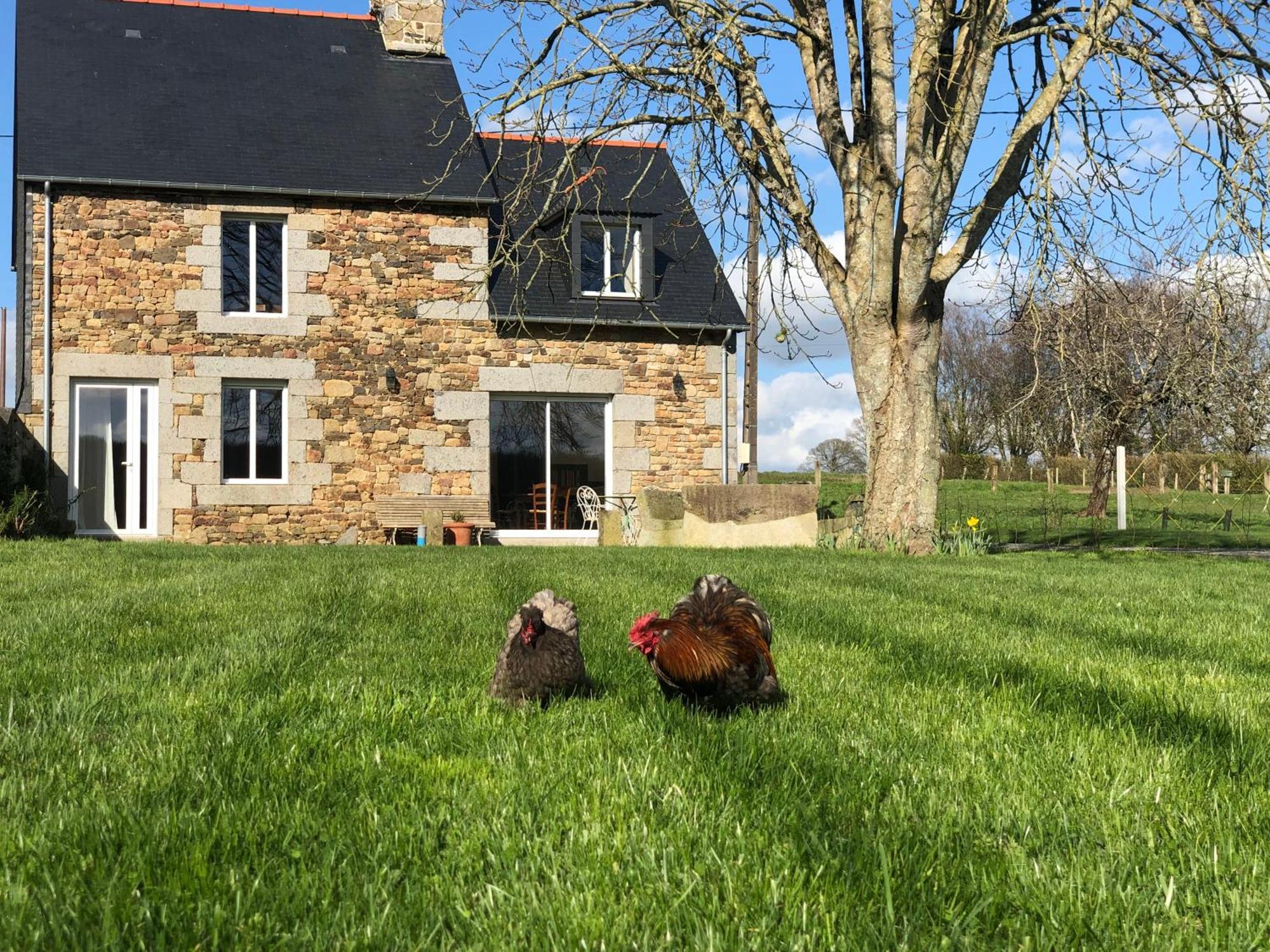 Maison Chic Proche Du Mont Saint Michel Marcilly  Zewnętrze zdjęcie